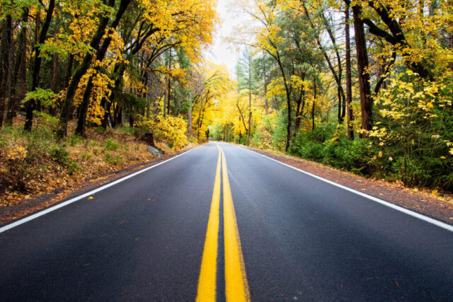 California State Route 32 near Deer Creek lined with vibrant golden bigleaf maples and evergreen pines in peak autumn color. The freshly wet asphalt road stretches straight ahead under a glowing yellow canopy, its double yellow centerline leading the viewer’s eye into the tunnel of trees. Captured on an early November day, the scene showcases the brilliant fall foliage and mountain forest beauty that make SR 32 one of Northern California’s most scenic drives.
