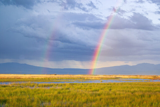 Rural Rainbow Vivid double rainbow arcs across a stormy spring sky over the high desert wetlands of Lassen County, California. The scene captures the colorful light against dark gray thunderclouds, with golden sunlight illuminating the green marsh grasses and distant blue hills. The bright main rainbow and faint secondary arc contrast beautifully with the moody clouds above a quiet rural landscape.
