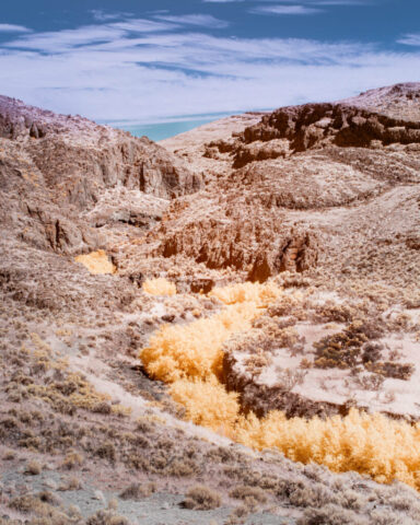False-color infrared landscape photograph of Rush Creek canyon in the Smoke Creek Desert, straddling Lassen County, California, and Washoe County, Nevada. Captured with a 590nm near-infrared filter on a full spectrum modified camera, the image features glowing golden foliage tracing the creek’s path through rugged basalt cliffs. The desert terrain and bright infrared tones evoke a surreal interpretation of this historic landscape along the Nobles Immigrant Trail.