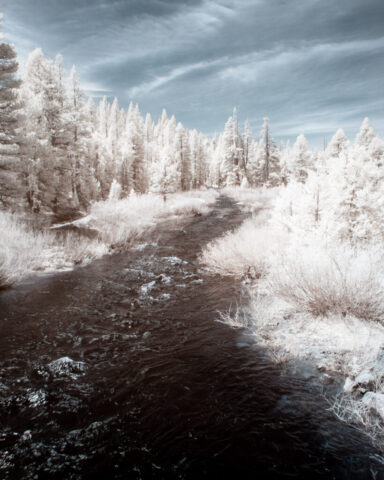 Infrared photograph of the Little Truckee River in Sierra County, California, captured with a 720nm near-infrared filter on a full spectrum modified camera. The river winds through bright white trees and shrubs under a pale blue sky, creating a surreal high-Sierra landscape.