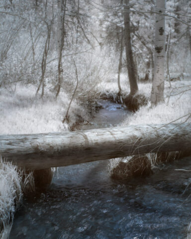 Infrared landscape photograph of Independence Creek in Sierra County, California, captured with a 720nm near-infrared filter. A fallen log bridges the clear stream surrounded by bright white spring foliage and soft reflective light, creating a calm and dreamlike mountain scene.