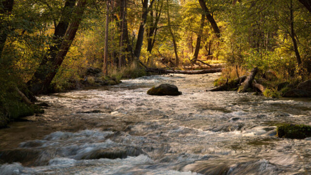 Hat Creek Flowing Near Bridge Campground Peaceful autumn landscape photograph of Hat Creek near Bridge Campground in Shasta County, Northern California. Captured on a crisp October morning, the image shows the spring-fed creek flowing steadily through a sunlit woodland, where early fall colors glow warmly in the soft golden light. The gentle motion of the water contrasts beautifully with mossy rocks and the surrounding forest, creating a tranquil, immersive scene that reflects the quiet charm of Northern California’s volcanic terrain. This fine art image evokes serenity and natural beauty, ideal for cabins, lodges, or nature-themed interiors and for those who cherish the calm rhythm of mountain streams and the landscapes near Lassen Volcanic National Park.