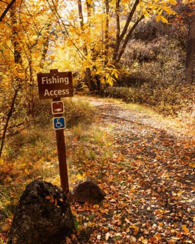 Down to the Fishing Hole - Pit River - Shasta County California Autumn trail at the Pit River Campground in Shasta County, California, surrounded by golden oak and bigleaf maple foliage at peak fall color. A brown wooden “Fishing Access” sign stands in the foreground beneath a canopy of bright yellow leaves glowing in soft afternoon sunlight. The forest path leads toward the river, dappled in warm light and shadow, evoking peace and solitude in this quiet October scene. Perfectly captures the tranquil beauty of Northern California’s fall landscape near the Pit 1 Dam and powerhouse, where fly fishing and nature meet.