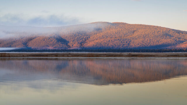 Antelope Mountain reflected in calm waters of Eagle Lake on a December morning, Lassen County, California. The forested ridge glows with warm sunrise light, light fog drifting along the slope, mirrored clearly across the still lake surface.