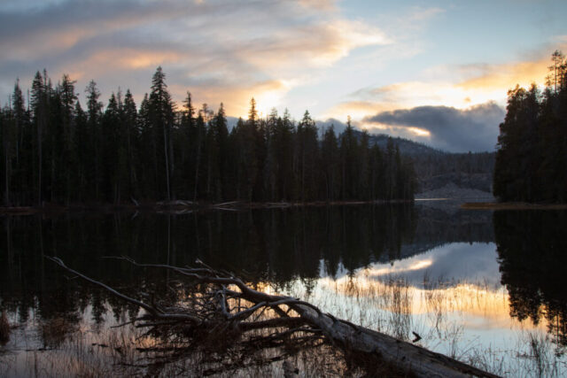Last Light at Silver Lake - Lassen County California Last light reflecting on calm Silver Lake in Lassen County, California, with a fallen log and shoreline grasses in the foreground, dark pine forest along the far shore, low clouds near distant hills, and warm sunset colors mirrored in the water.