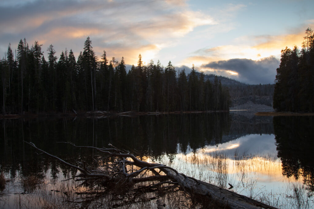 Last light reflecting on calm Silver Lake in Lassen County, California, with a fallen log and shoreline grasses in the foreground, dark pine forest along the far shore, low clouds near distant hills, and warm sunset colors mirrored in the water.