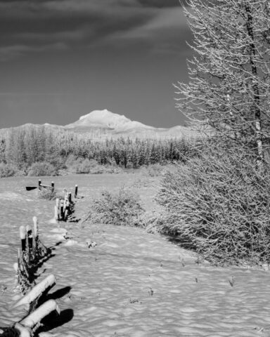 Snowy Fence Line to Mount Lassen - Chester California - Monochro