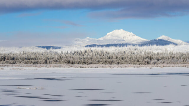 Snow Covered Mount Lassen Over Frozen Lake Almanor Snow-covered Mount Lassen rises beyond the frozen surface of Lake Almanor, with scattered dark patches of open water in the foreground and a band of frost-dusted conifer forest along the shoreline, viewed from the Highway 36 causeway on a clear winter morn