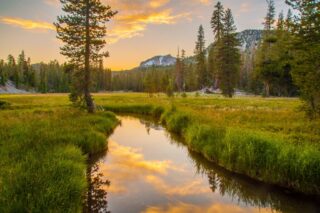 Kings Creek at sunset in Lassen Volcanic National Park with pine forest and mountain backdrop
