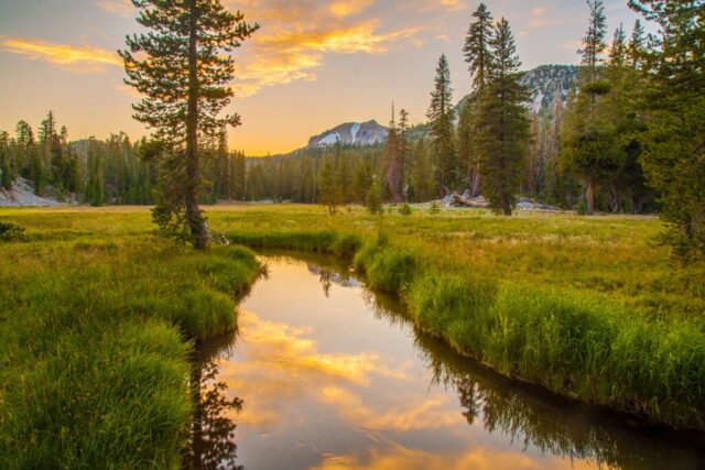 20160805_Kings Creek Sunset_Social Kings Creek at sunset in Lassen Volcanic National Park with pine forest and mountain backdrop