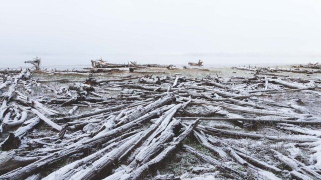 20260413_Debris Field_Color_Social_SRGB_001 Snow-dusted driftwood debris field along the shoreline of McCoy Flat Reservoir, Lassen County, California