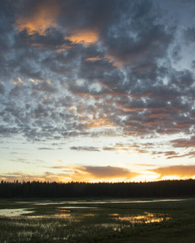 Sunset over Sierra Nevada marsh at Kyburz Flat, Sierra County, California, warm light through cloud gap above dark conifers