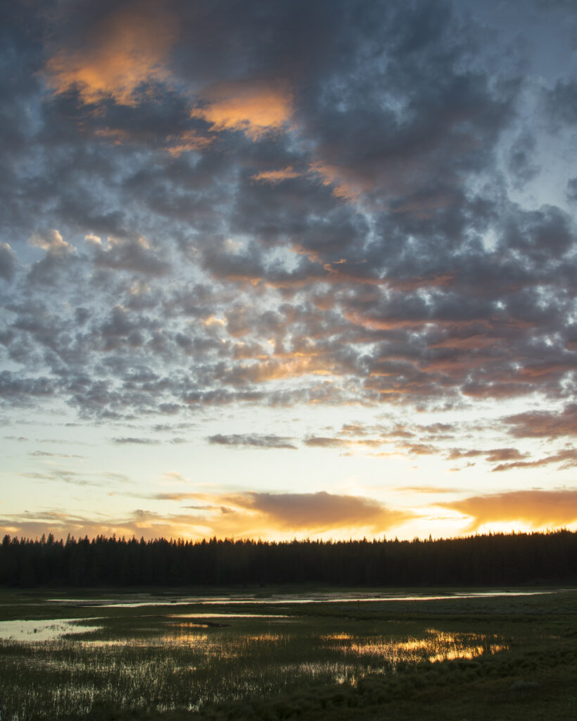 Sunset over Sierra Nevada marsh at Kyburz Flat, Sierra County, California, warm light through cloud gap above dark conifers
